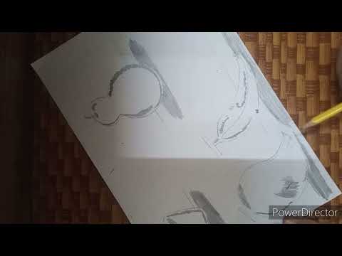 How To Make And Do Shading In Fruits Like A Professional ??? || SHADING || (Time Lapse)