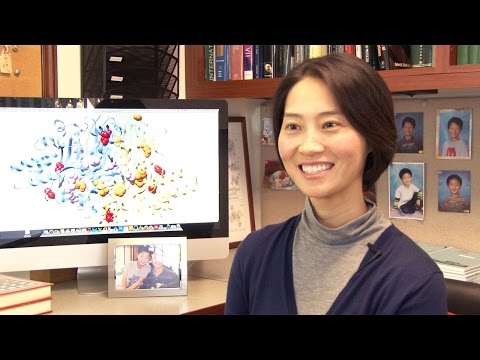 Toward a Cure for Charcot-Marie-Tooth Disease