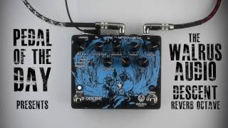 Video thumbnail for Walrus Audio Descent Reverb Octave Machine Guitar Effects Pedal Demo Video by Pedal of the Day