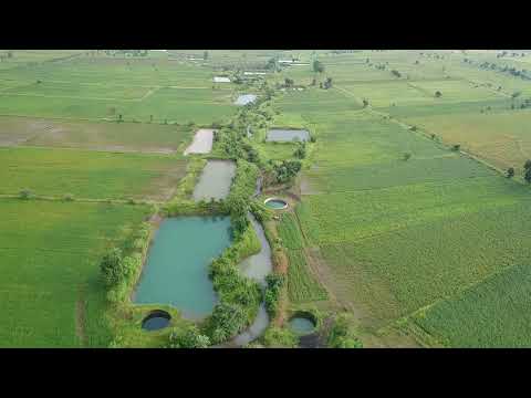 In the rhythm of the monsoon, a sequential system of water structures