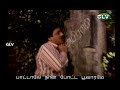Solaimalai Oram 1st Saranam Lyrics Ilayaraja WhatsApp Status Villupattukkaran SPB