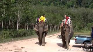 preview picture of video 'Elephant Trekking, Koh Lanta'