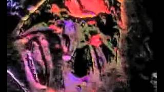 Pond - Xanman (Official Video)