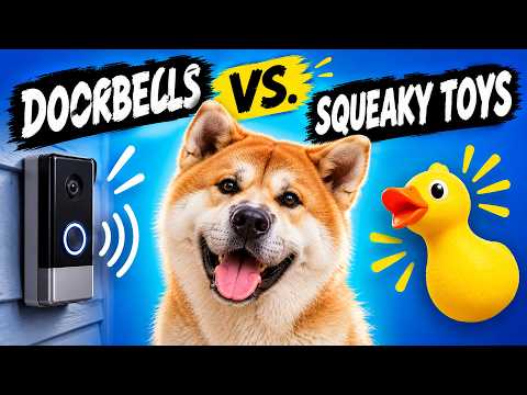 Dog Sound Battle - Doorbells vs. Squeaky Toys Sounds 🐶
