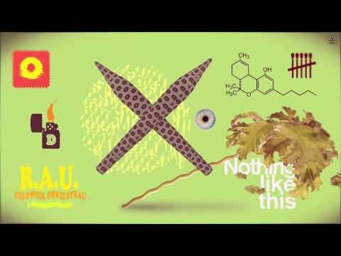 2.R.A.U. - FAVOURITE PRODUCER I 9 Donuts for Dilla