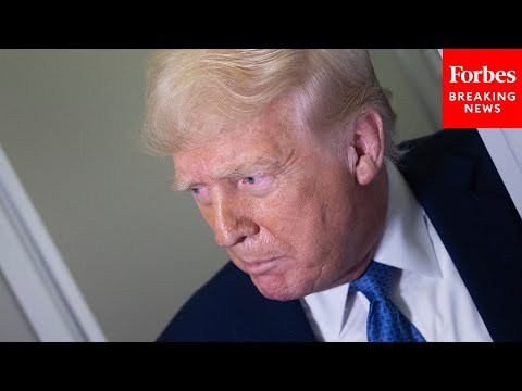 trump speech on st patricks day