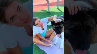 I Just Wanted to Stretch… He Wanted Chaos 😂 #dogfails #funnydogs #workoutfail #fypシ #shortsviral