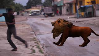 Jah Cure &quot;Lion in the Jungle&quot; Spotify