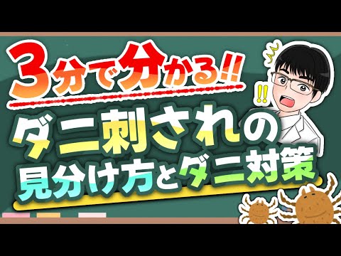 庭に出掛けた長毛の犬にダニが発見される