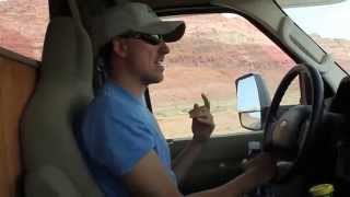 Rezzy, The Stray Dog I Couldn't Leave Behind