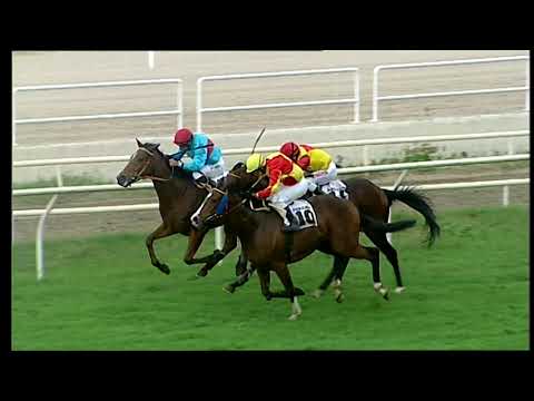 Napoli Galoppo 15/11/2021 - 5ª corsa - TRIS