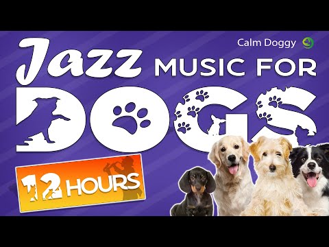 Jazz Music For Dogs - Relaxing Dog Music To Calm Anxiety  - 12 Hours!