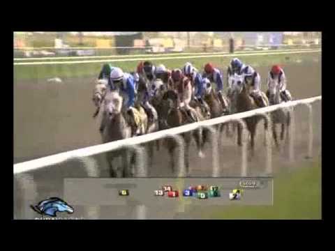 Dubai World Cup 2010
