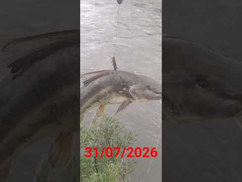 #para ti # makina de pescar tiktok #amigos #aguas calientes jujuy argentina