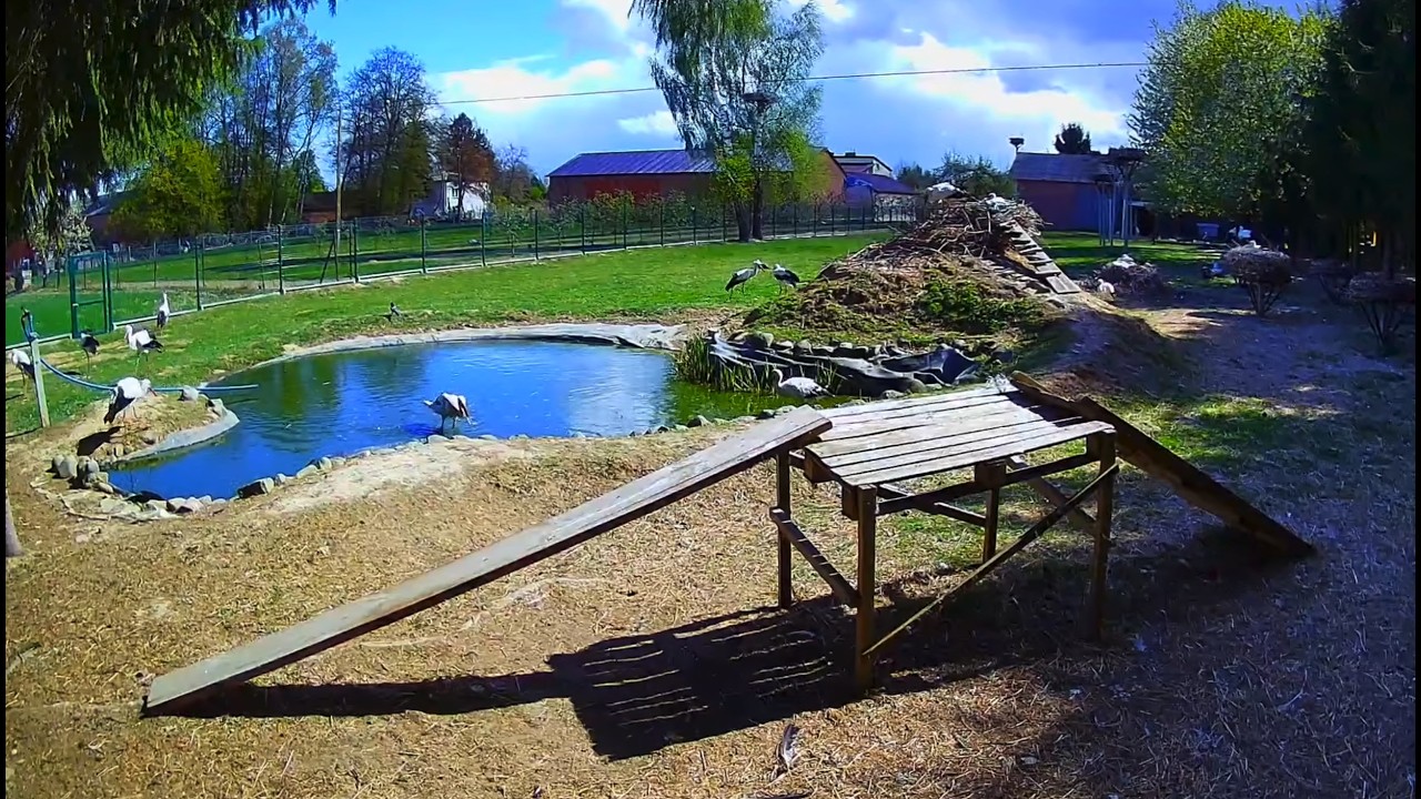 Live webcam view of Estanque de Cigüeñas en Kozubszczyzna