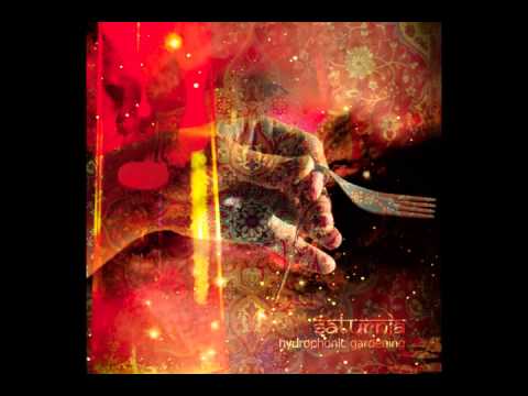 SATURNIA - Sunflower