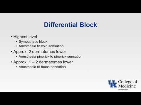 Spinal & Epidural Anesthesia - (Dr. Fragneto)