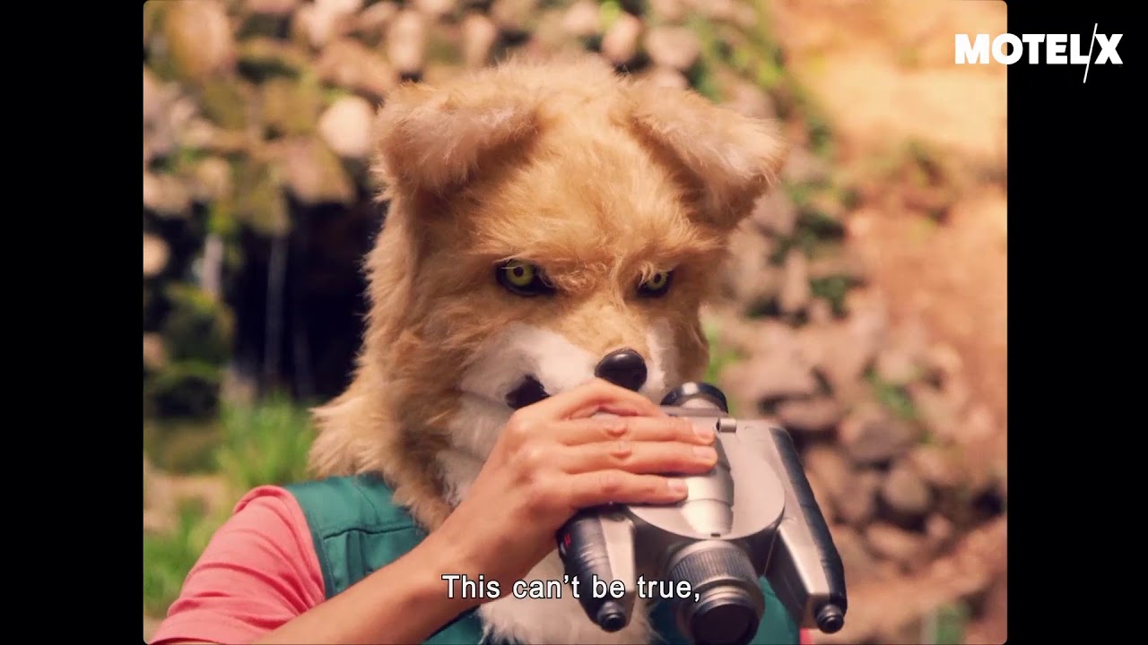 Your Last Day on Earth (2019) | Trailer