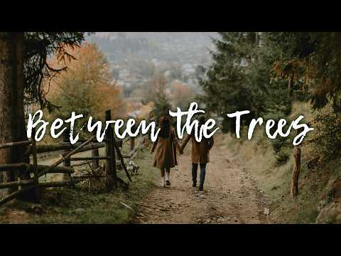 Between The Trees | Warm Acoustic Indie Folk Vibes
