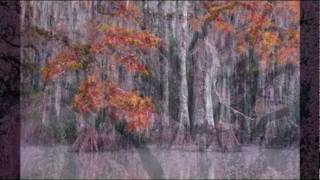 Pat Metheny/Anna Maria Jopek ~ Tree....People