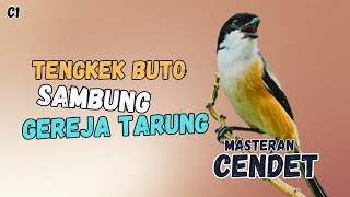 Download lagu 🔴 TENGKEK BUTO SAMBUNG GEREJA TARUNG MASTERAN CENDET GACOR|| #5 mp3