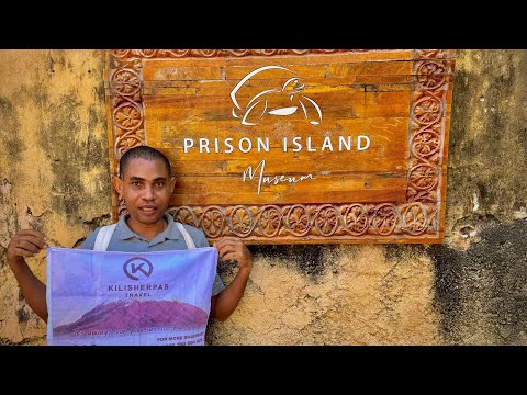  Unforgettable adventures in Tanzania | Serengeti, Lake Manyara,Ngorongoro Crater & Mount Kilimanjaro