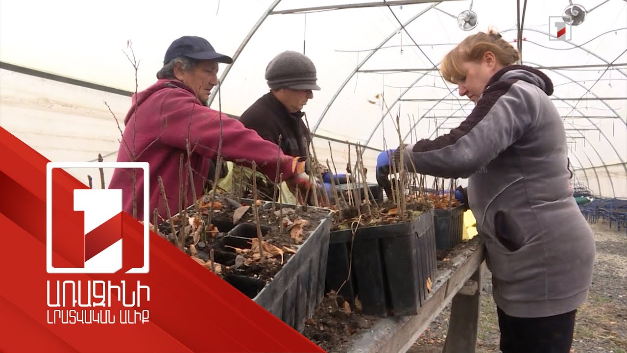 Նոր աշխատատեղեր Լոռիում և Սյունիքում՝ անտառվերականգնման ծրագրերով