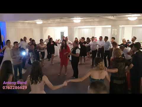 Formatie Nunta 2022-Antony Band