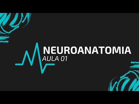 NEUROANATOMIA | AULA 01 | INTRODUÇÃO À NEUROANATOMIA