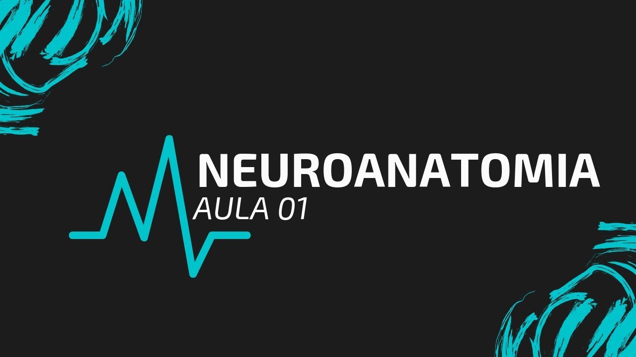 NEUROANATOMIA | AULA 01 | INTRODUÇÃO À NEUROANATOMIA