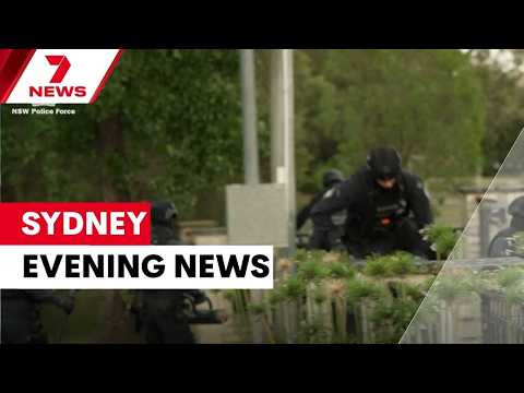 Arrests made in Sydney grandfather kidnapping case; Woolies profits skyrocket | 7NEWS Sydney