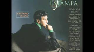 Caetano Veloso - 🇧🇷 - La Golondrina (1994)