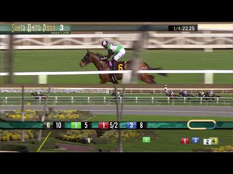 Sapphire Kid wins Race 3 on Friday, January 3 at Santa Anita Park