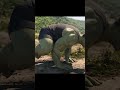 2022 HULK VS 2008 HULK WHO S THE STRONGEST