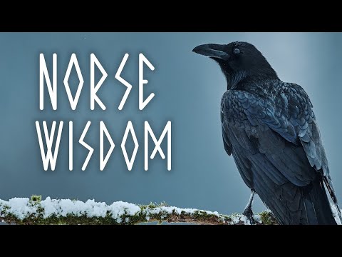 15 Rules For Life - Viking Code of Conduct