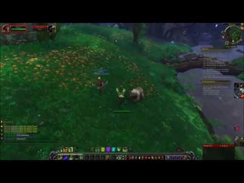 I am a leader of idiots. [Legion Bodyguard]