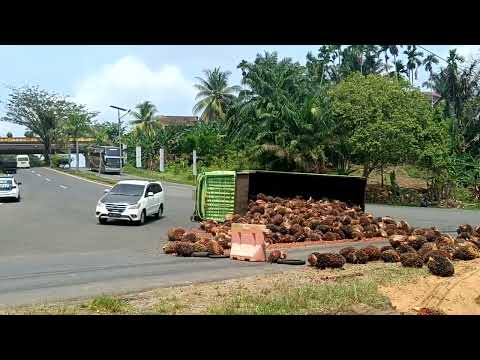 Oleng Saat Menanjak, Truk Sawit Terguling