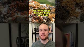 AP Environmental Science Exam Review Topic 2.7 - Ecological Succession