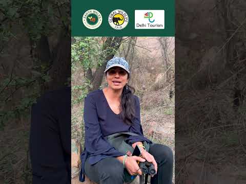 Hidden Life of Aravalli Biodiversity Park | Earth Walks Nature Exploration