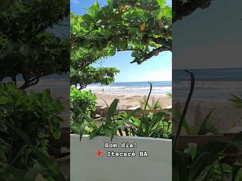 bom dia! 😍 #bahia #praia #itacare #viagem