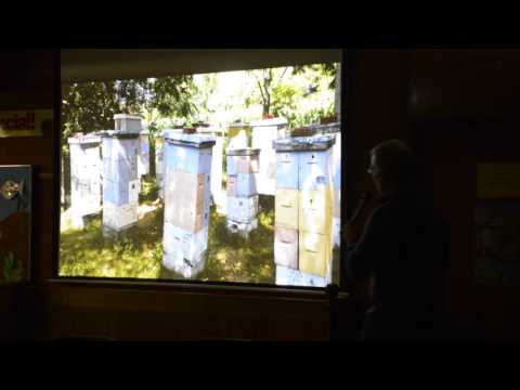 French Hill Apiaries