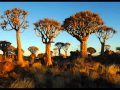 Musiques du monde - Voice in the Wind