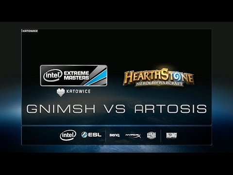 Hearthstone - Gnimsh vs. Artosis - Grand Final (BO3) - IEM Katowice 2014