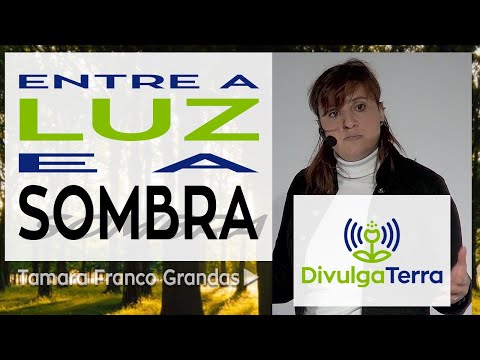 Vídeo: Entre luz e sombra