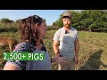 Inside His Regenerative Pig Farm At Incredible Scale Gunthorp Farms