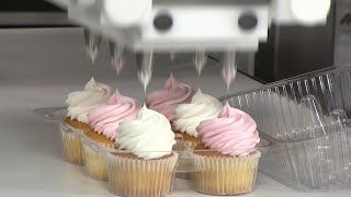 Watch These Sweet Cake Decorating Machines That Will Blow Your Mind, By  Funny Videos and Pics