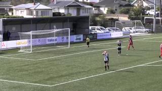 preview picture of video '20140501 SouthernU20 Semi Final Zebs v South HL'