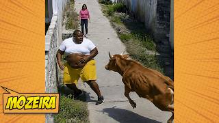TENTE NÃO RIR 🤣 TOP 100 VÍDEOS MAIS ENGRAÇADOS DE TODOS OS TEMPOS 🎬 🔥 MEMES E FALHAS ÉPICAS