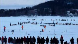 preview picture of video 'Amundsen race -  700 slädhundar startar i Östersund kl 18 den 27 mars 2009'
