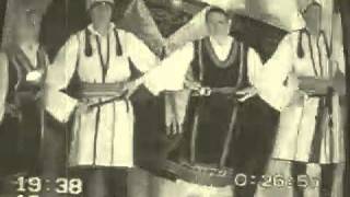preview picture of video '30 godina KUD-a Vaso Đurđević, Bršadin'